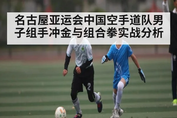 名古屋亚运会中国空手道队男子组手冲金与组合拳实战分析 - kaiyun sports